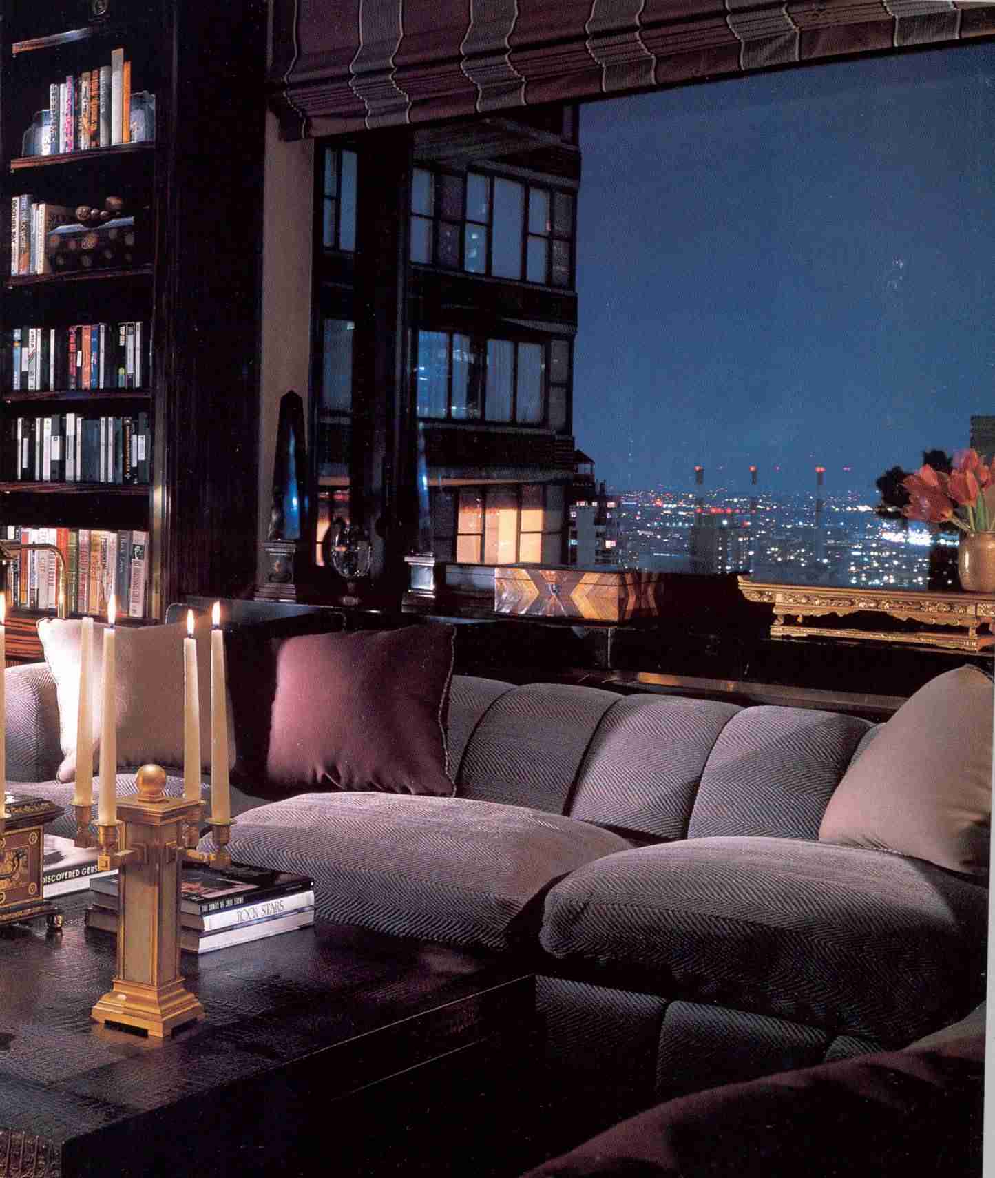 Clive Davis' NYC Skyline at Night thru Sunshield